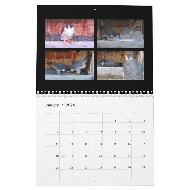 2015 Calendar - Main Cam Collages (Jan 2026)