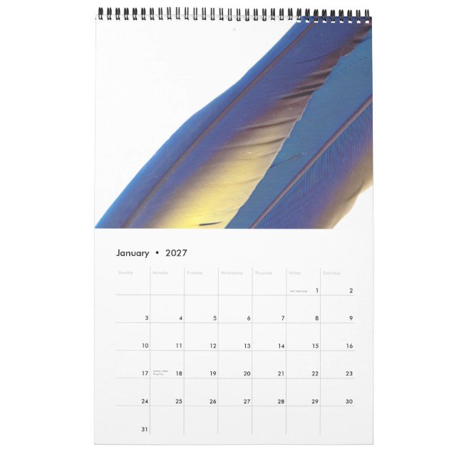 2015 Calendar of Bird feathers (Jan 2027)