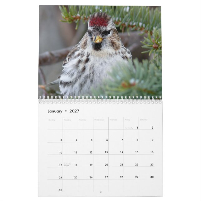 2015 Calendar of small birds (Jan 2027)
