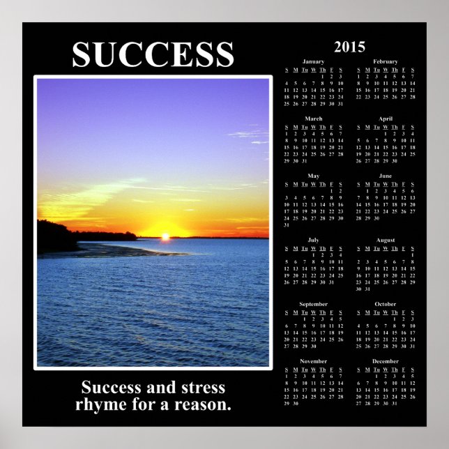 2015 Demotivational Calendar: Meaning of Success Poster (Front)