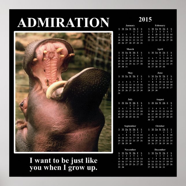 2015 Demotivational Wall Calendar: I Admire You Poster (Front)