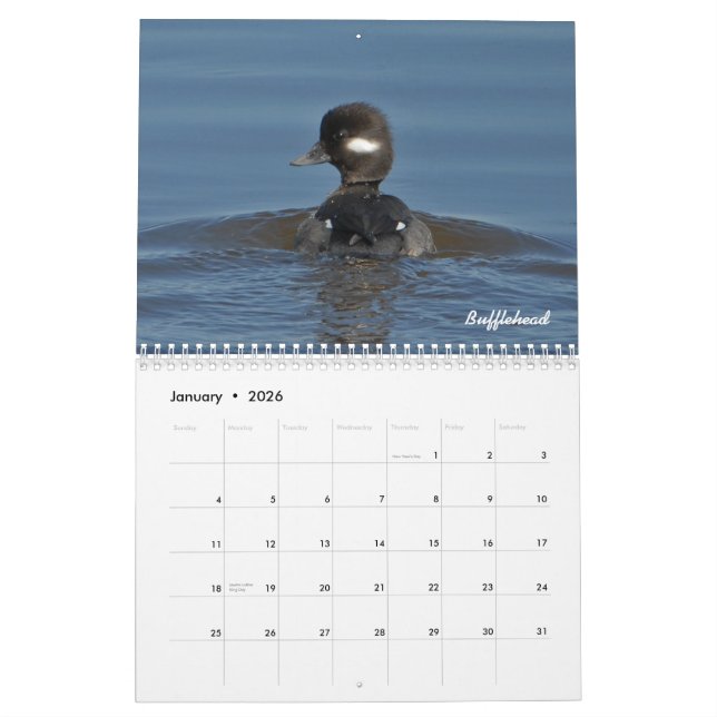 2015 Duck Calendar (Jan 2026)