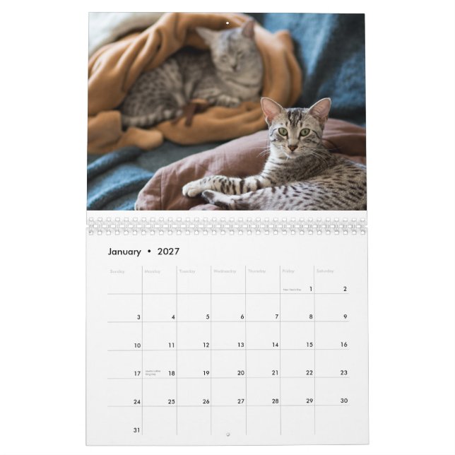 2015 Egyptian Mau calendar: Cats of the Pharoahs Calendar (Jan 2027)