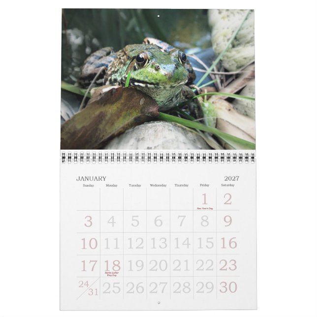 2015 Frog Calendar (Jan 2027)