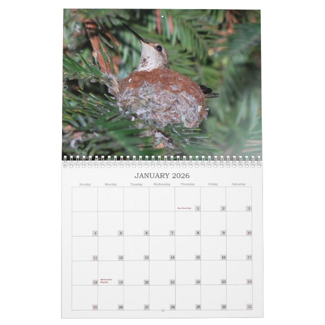 2015 Hummingbirds Calendar (Jan 2026)