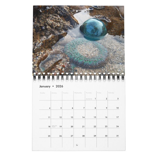 2015 Japanese Glass Float Calendar (Jan 2026)
