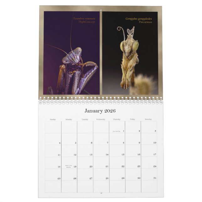 2015 Mantidforum.net Main Member Wall Calendar (Jan 2026)