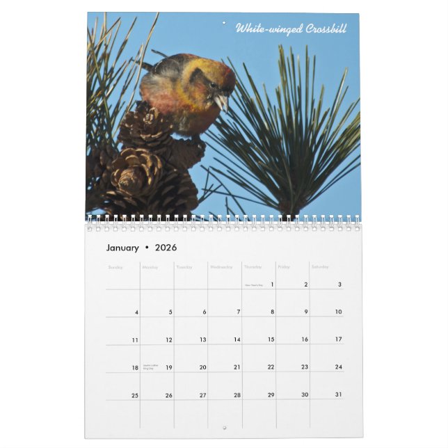 2015 North American Bird Calendar (Jan 2026)