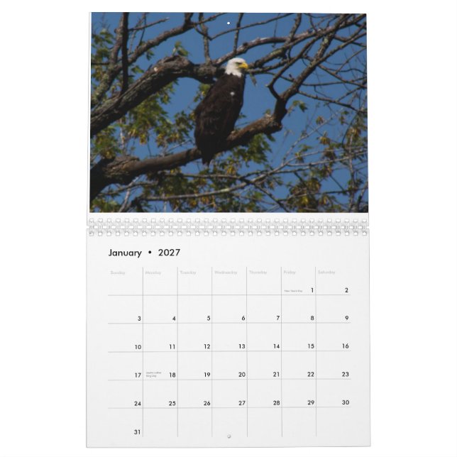2015 outdoors wisconsin calendar (Jan 2027)
