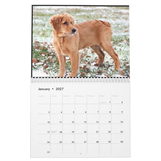2015 Penny Calendar (Jan 2027)