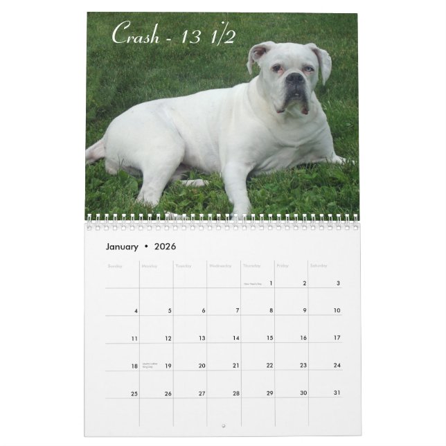 2015 Senior Boxer Calendar (Jan 2026)