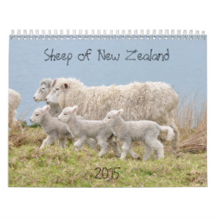 2015 Sheep of New Zealand Calendar