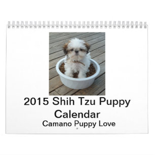 2015 Shih Tzu Puppy Calendar
