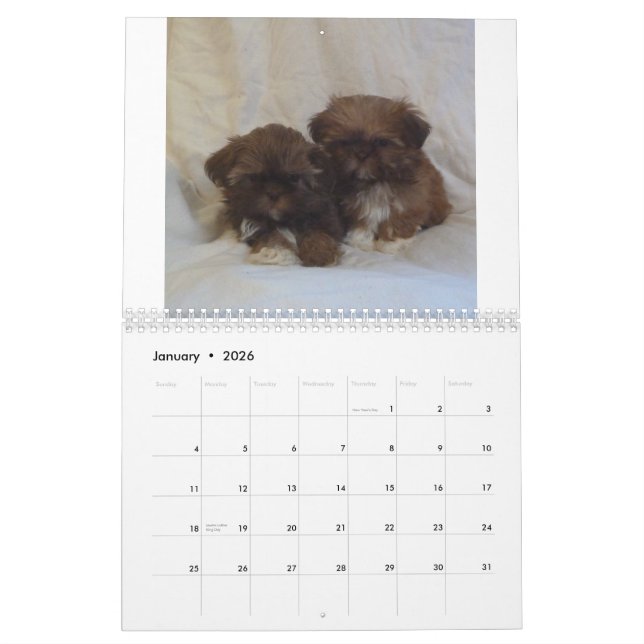 2015 Shih Tzu Puppy Calendar (Jan 2026)
