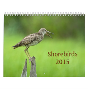 2015 Shorebirds Calendar