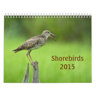 2015 Shorebirds Calendar