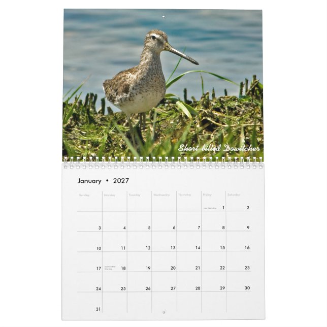 2015 Shorebirds Calendar (Jan 2027)