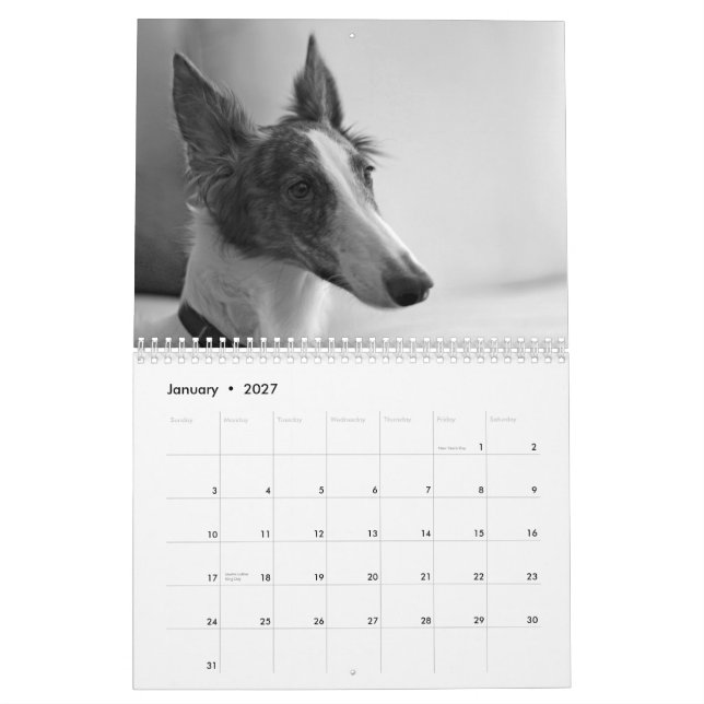 2015 Silken Windhound Puppies Calendar (Jan 2027)