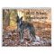 2015 Silken Windhounds