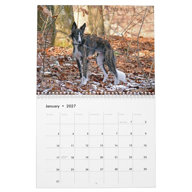 2015 Silken Windhounds Calendar (Jan 2027)