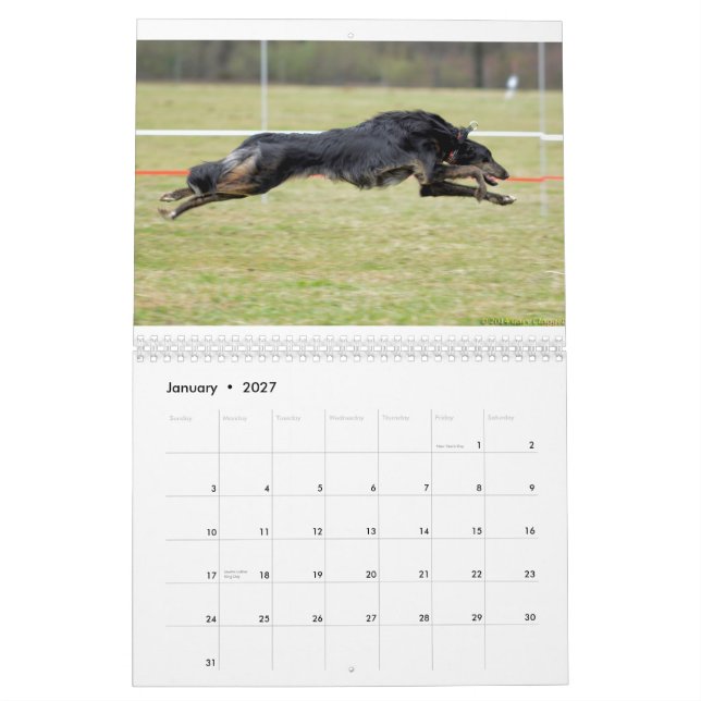 2015 Silken Windhounds in Action Calendar (Jan 2027)