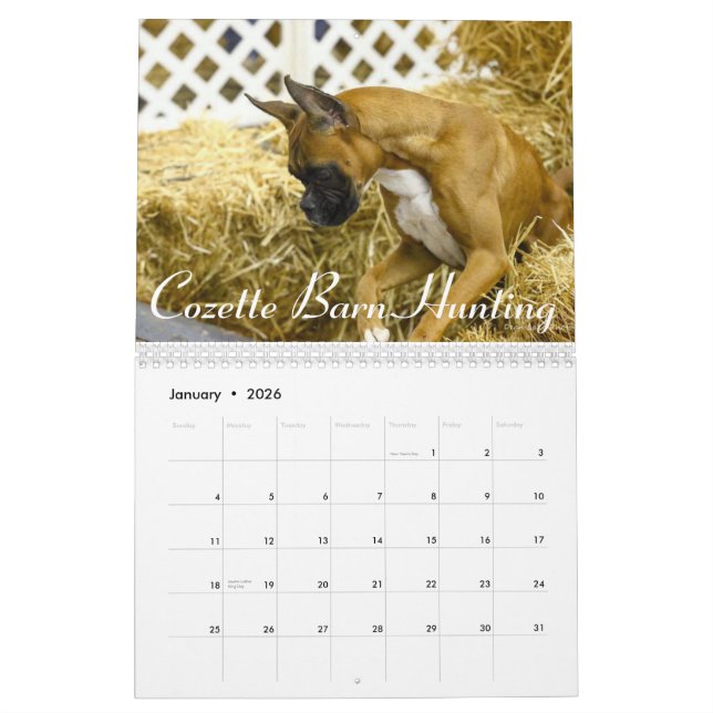 2015 Special Edition Boxer Performance Calendar (Jan 2026)