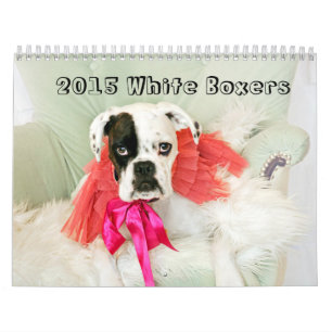 2015 White Boxer Calendar