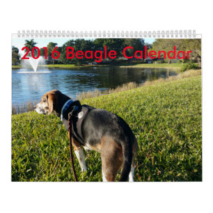2016 Beagle Calendar