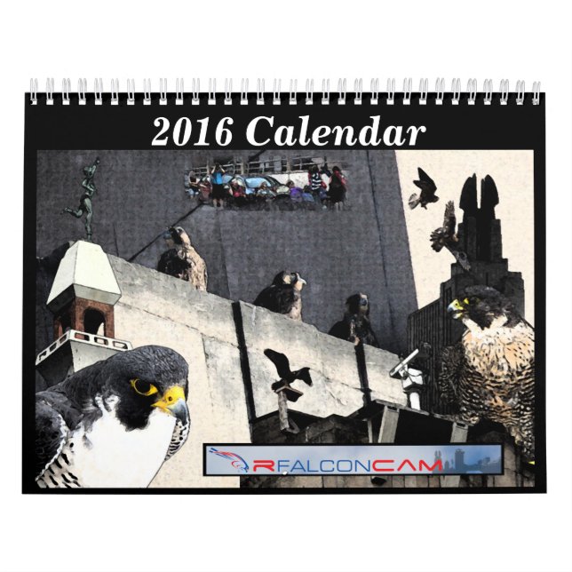 2016 Calendar - Main Cam Collages (Cover)