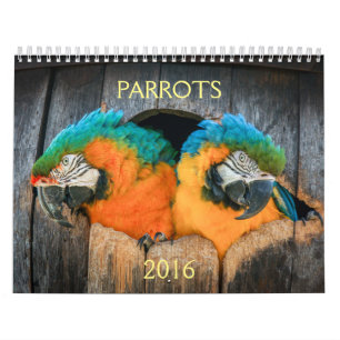 2016 Calendar of Parrots, macaw, amazon,