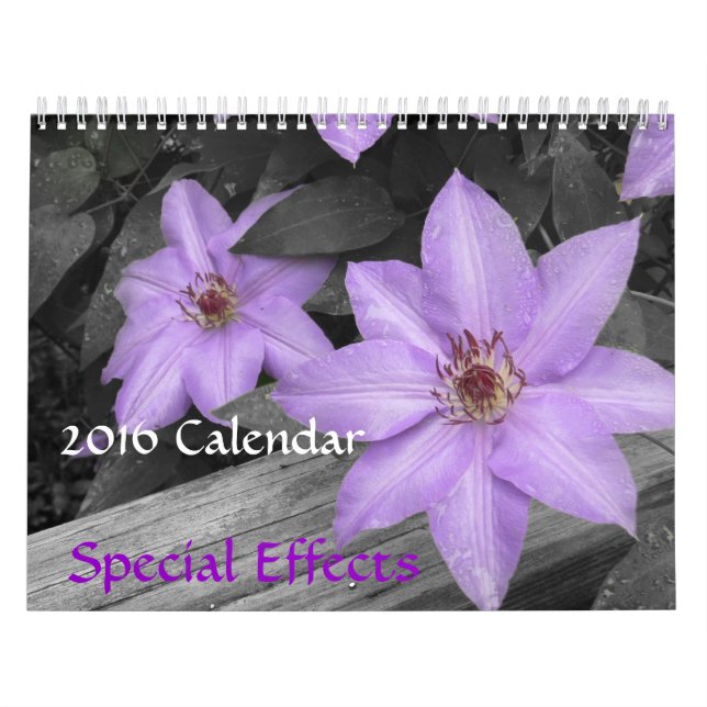 2016 Calendar-Special Effects Calendar (Cover)