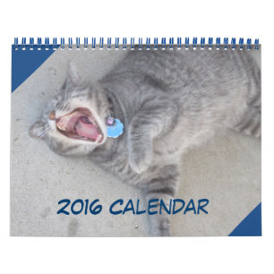 2016 Cat & Dog Calendar