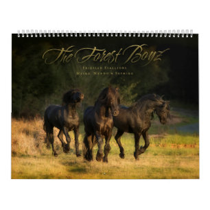 2016 Forest Boyz Calendar