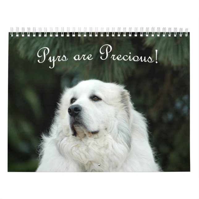 2016 Great Pyrenees Calendar (Cover)