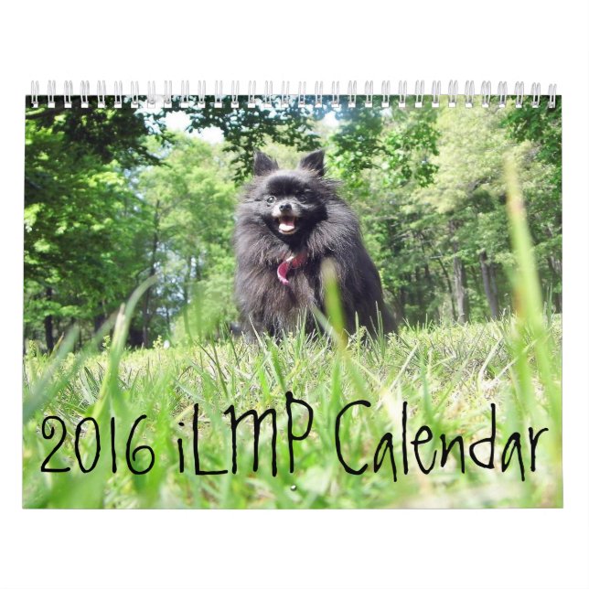 2016 iLMP Calendar (Cover)