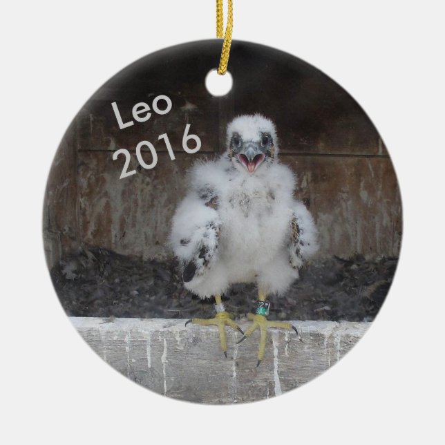 2016 Leo Ornament (Front)