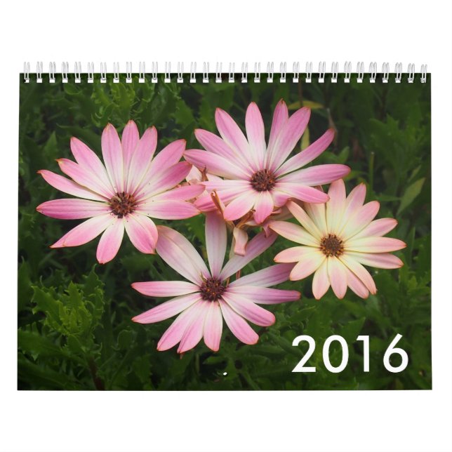 2016 Photo Calendar (Cover)
