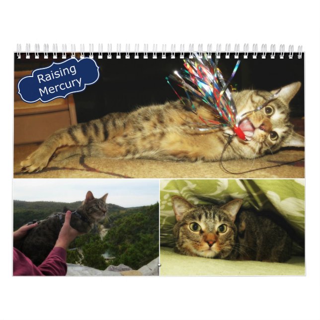 2016 Raising Mercury Calendar (Cover)