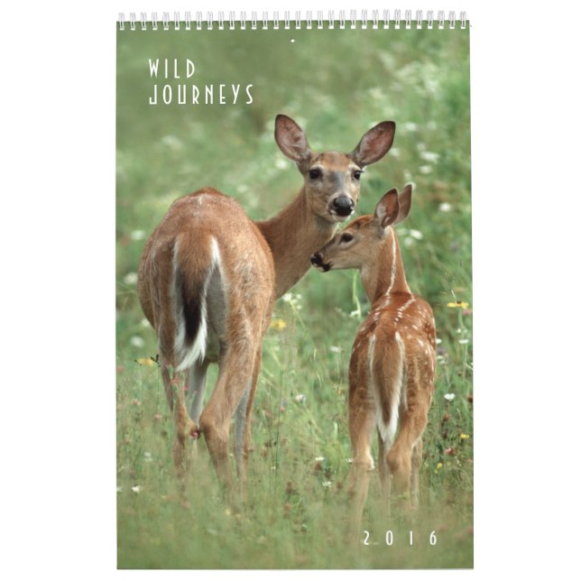2016 Wildlife Wall Calendar - Wildlife Photography (Cover)