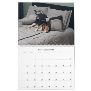 2017 Beagle Calendar