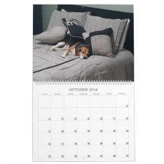 2017 Beagle Calendar