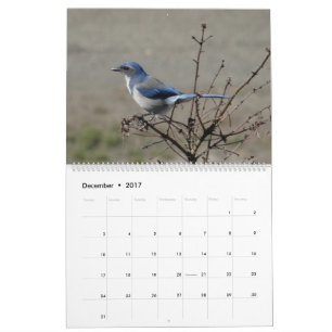 2017 Birds of North America Calendar