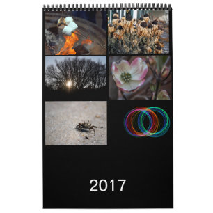 2017 Calendar