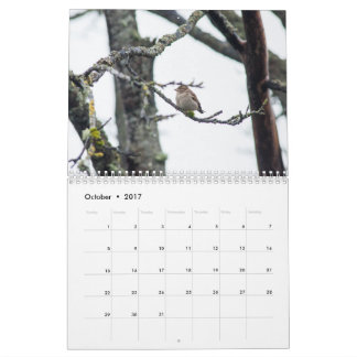 2017 Calendar by Barbara Levy