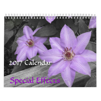 2017 Calendar-Special Effects Calendar