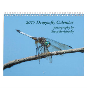 2017 Dragonfly Calendar
