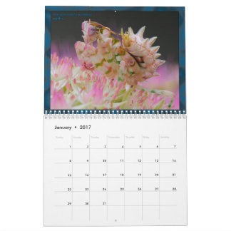 2017 Medium/Large MANTIDFORUM Calendar