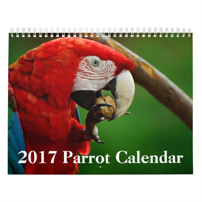 2017 Parrot Calendar (Cover)