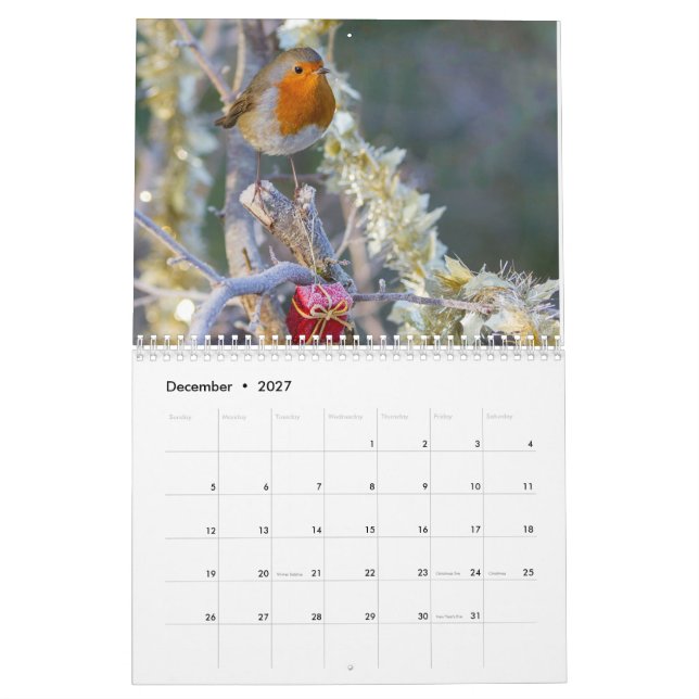 2017 Robin Calendar (Dec 2027)