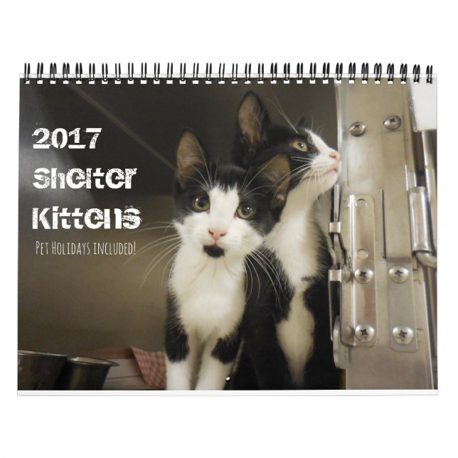 2017 Shelter Kittens Calendar (Cover)